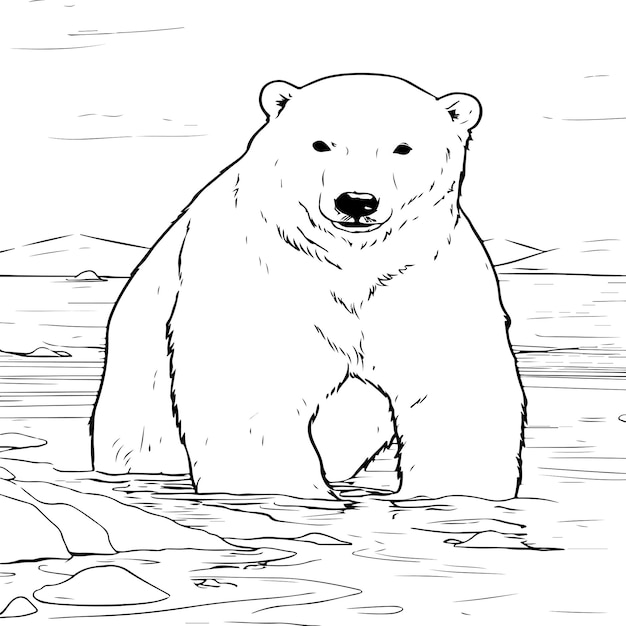 Premium vector polar bear coloring page