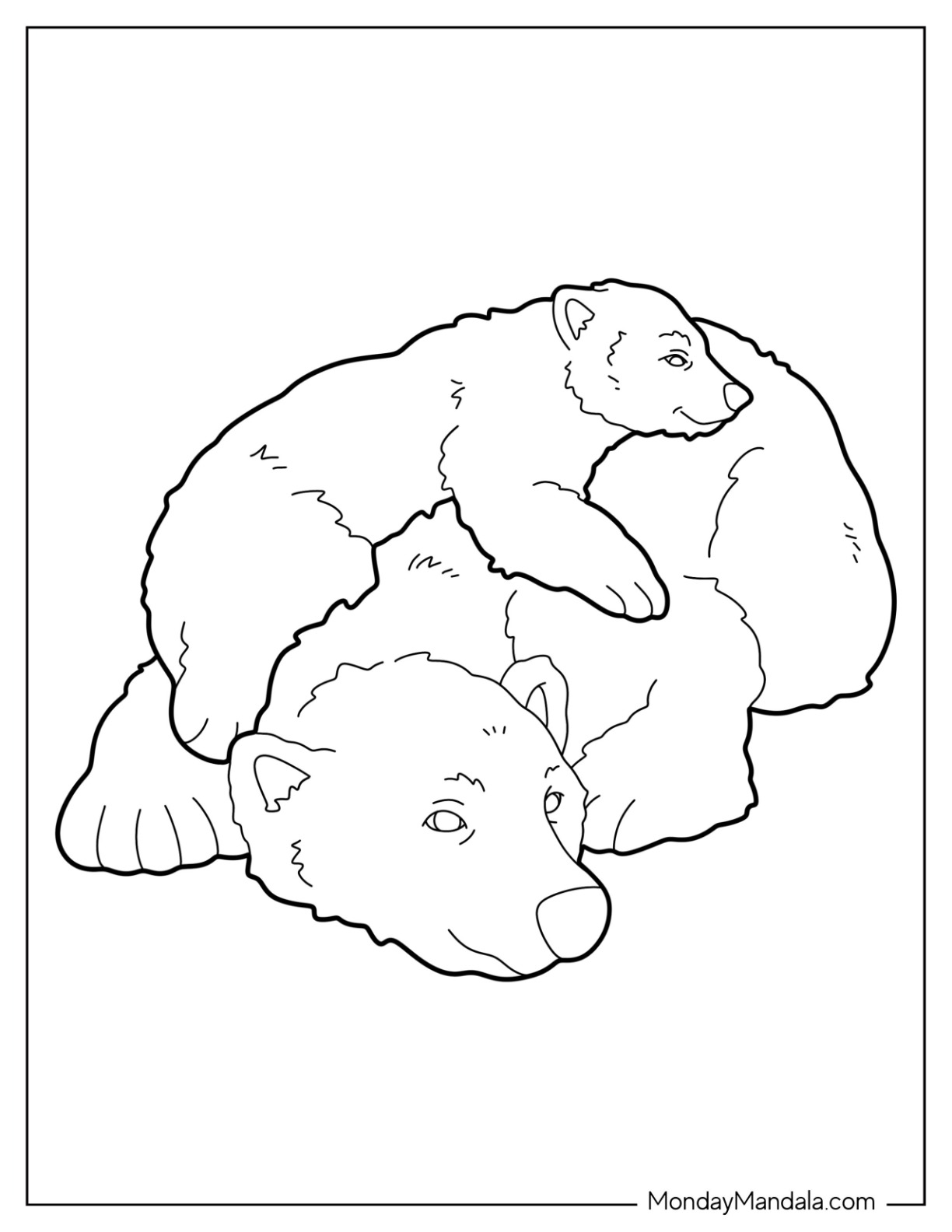 Bear coloring pages free pdf printables