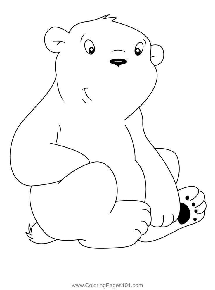 Sitting polar bear coloring page polar bear coloring page bear coloring pages the little polar bear