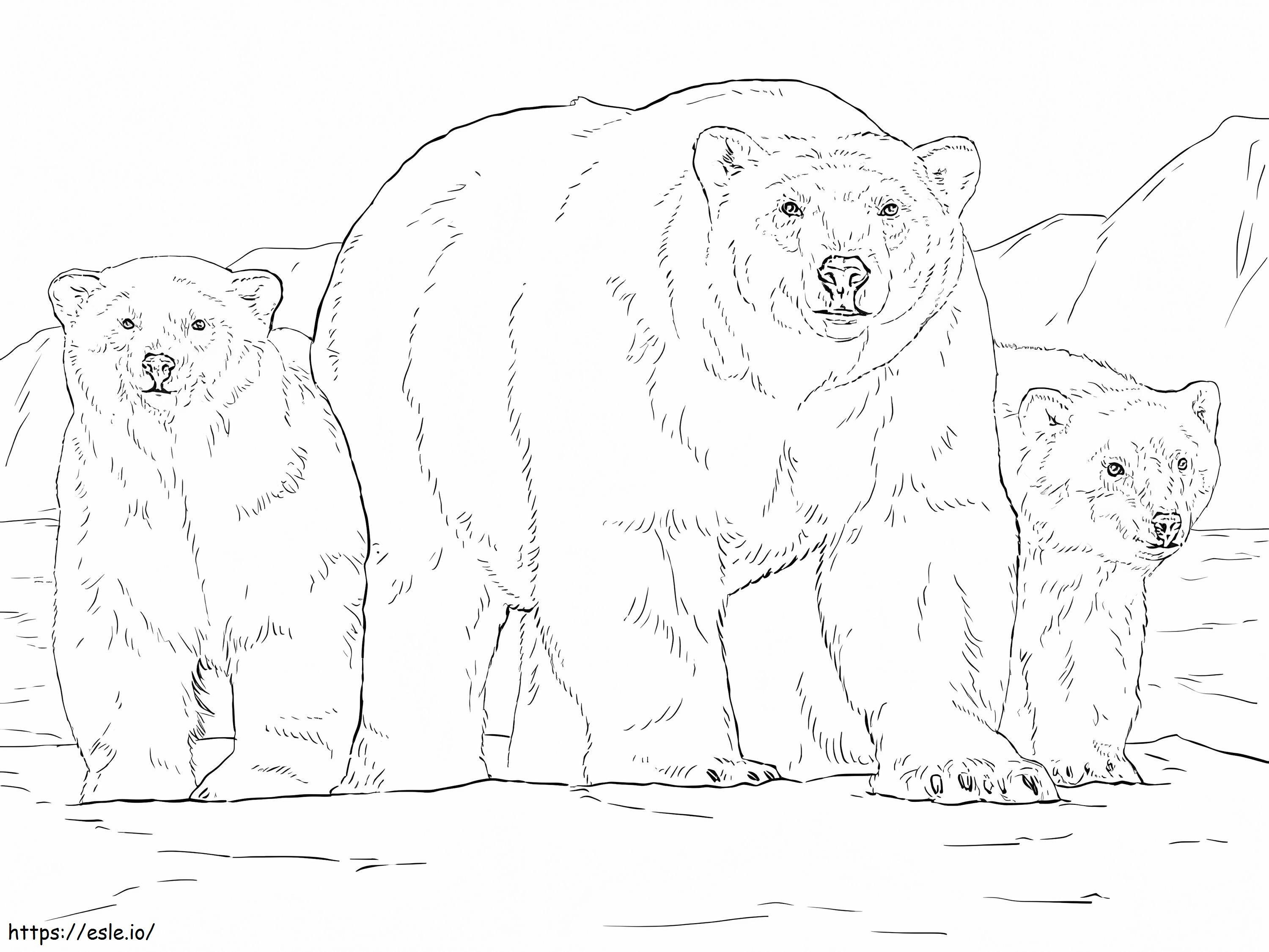 Realistic polar bears coloring page