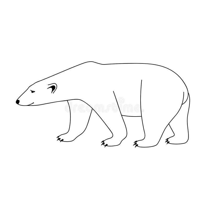 Polar bear stock illustrations â polar bear stock illustrations vectors clipart