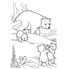 Top free printable polar bear coloring pages online