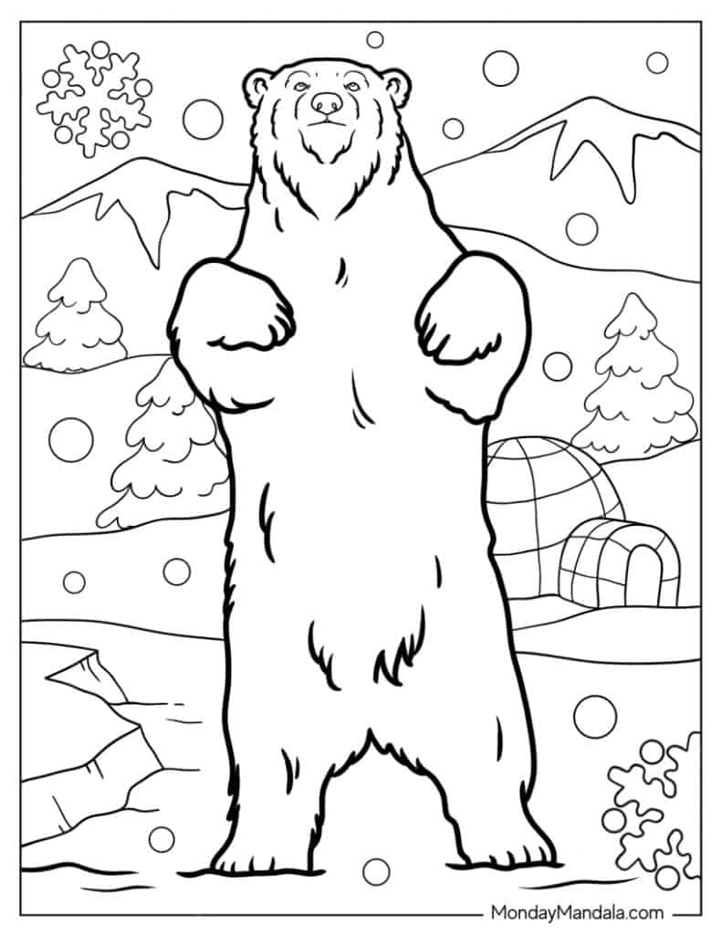 Polar bear coloring pages free pdf printables