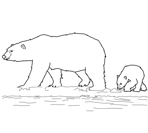 Polar bears family coloring page free printable coloring pages