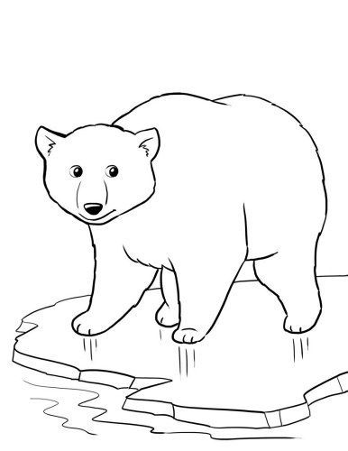 Top free printable polar bear coloring pages online bear coloring pages polar bear color polar bear coloring page