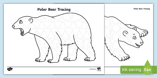 Polar bear tracing pattern activity drawing skills