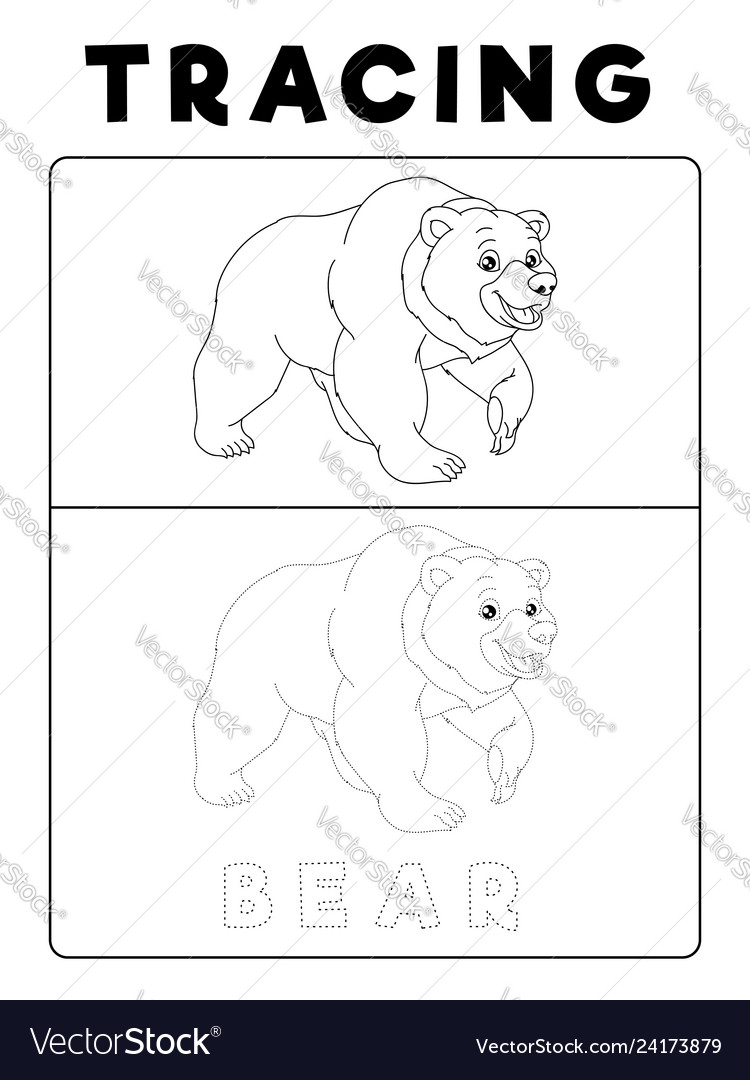 Funny bear tracing book with example preschool vector image