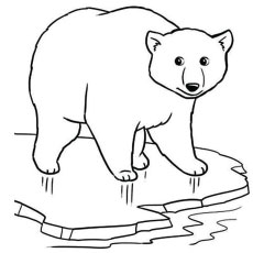 Top free printable polar bear coloring pages online