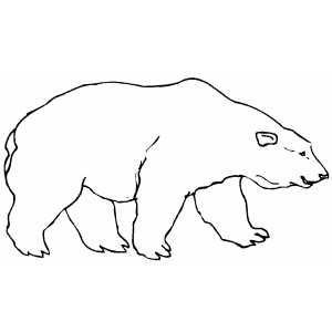 Big animals free coloring sheets polar bear coloring page polar bear cartoon polar bear tattoo