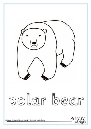 Polar bears