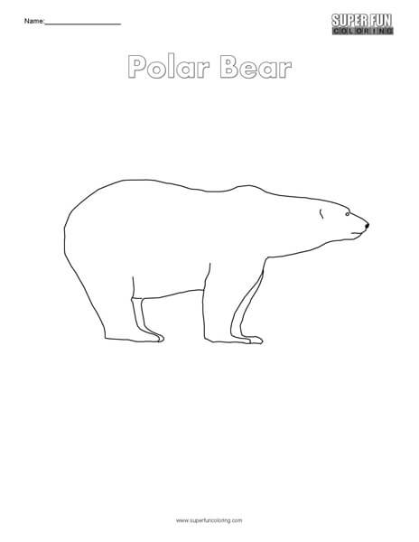 Polar bear coloring page