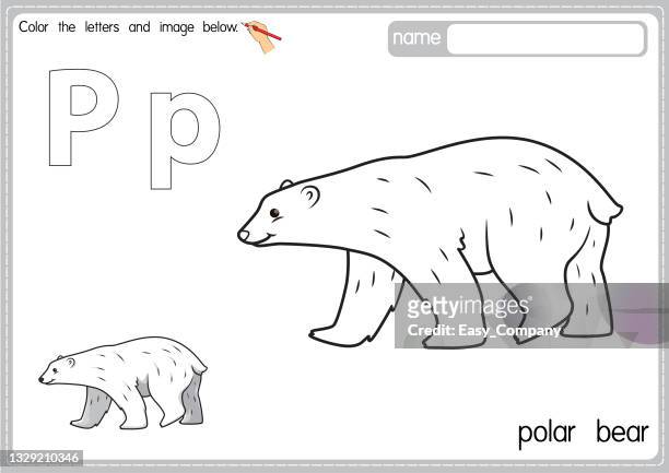 Polar bear cub high res illustrations