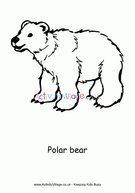 Polar bear louring page