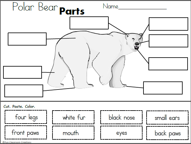 Polar bear parts cut and paste made by teachers