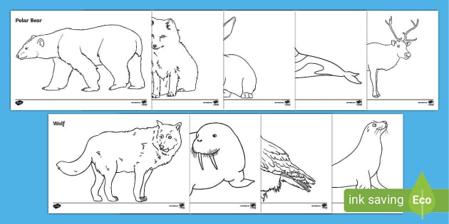 Arctic animals arts and crafts for preschool teacher made