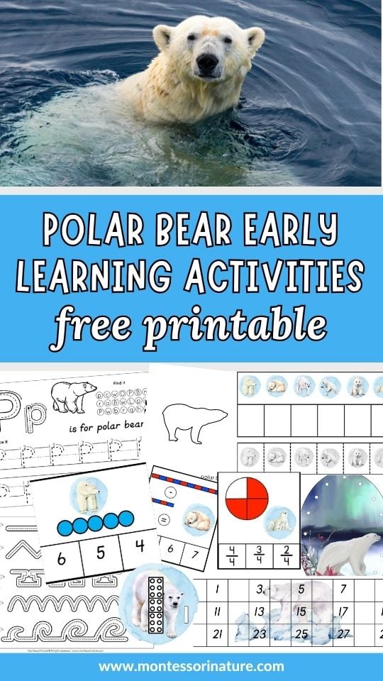 Polar bear early learning activities