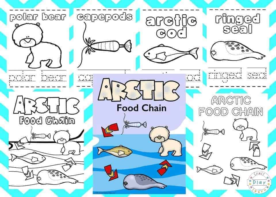 Arctic coloring pages for kids