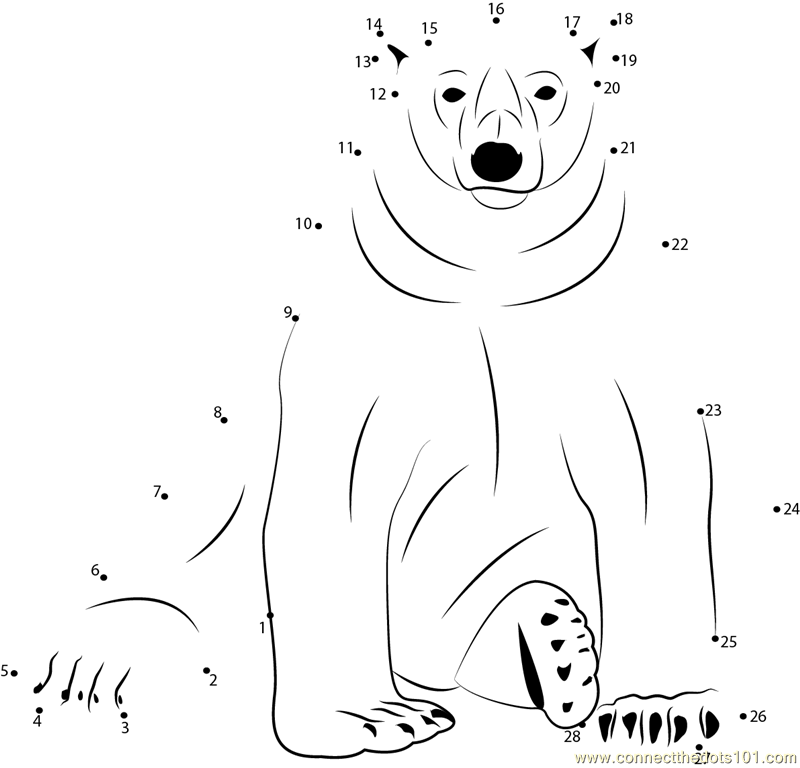 Sitting polar bear dot to dot printable worksheet