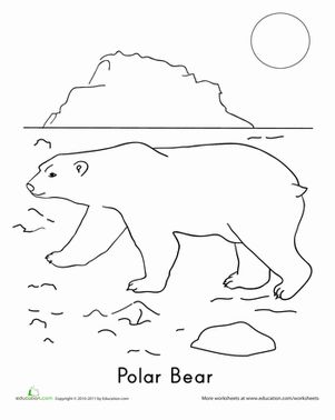 Polar bear worksheet education polar bear coloring page bear coloring pages polar bear