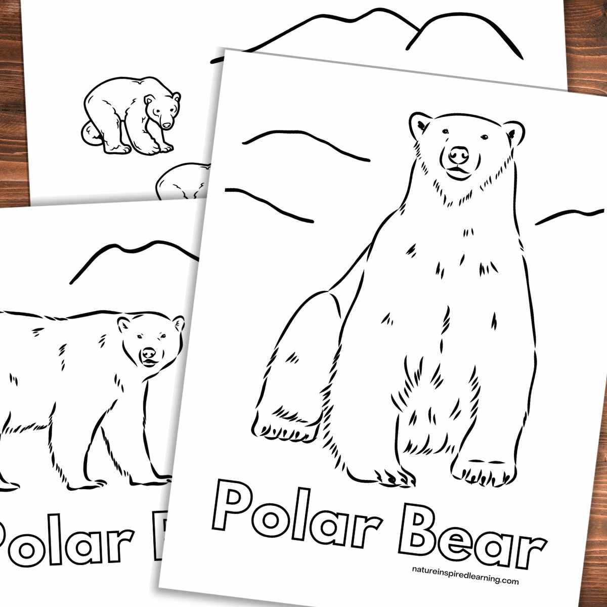 Polar bear coloring pages