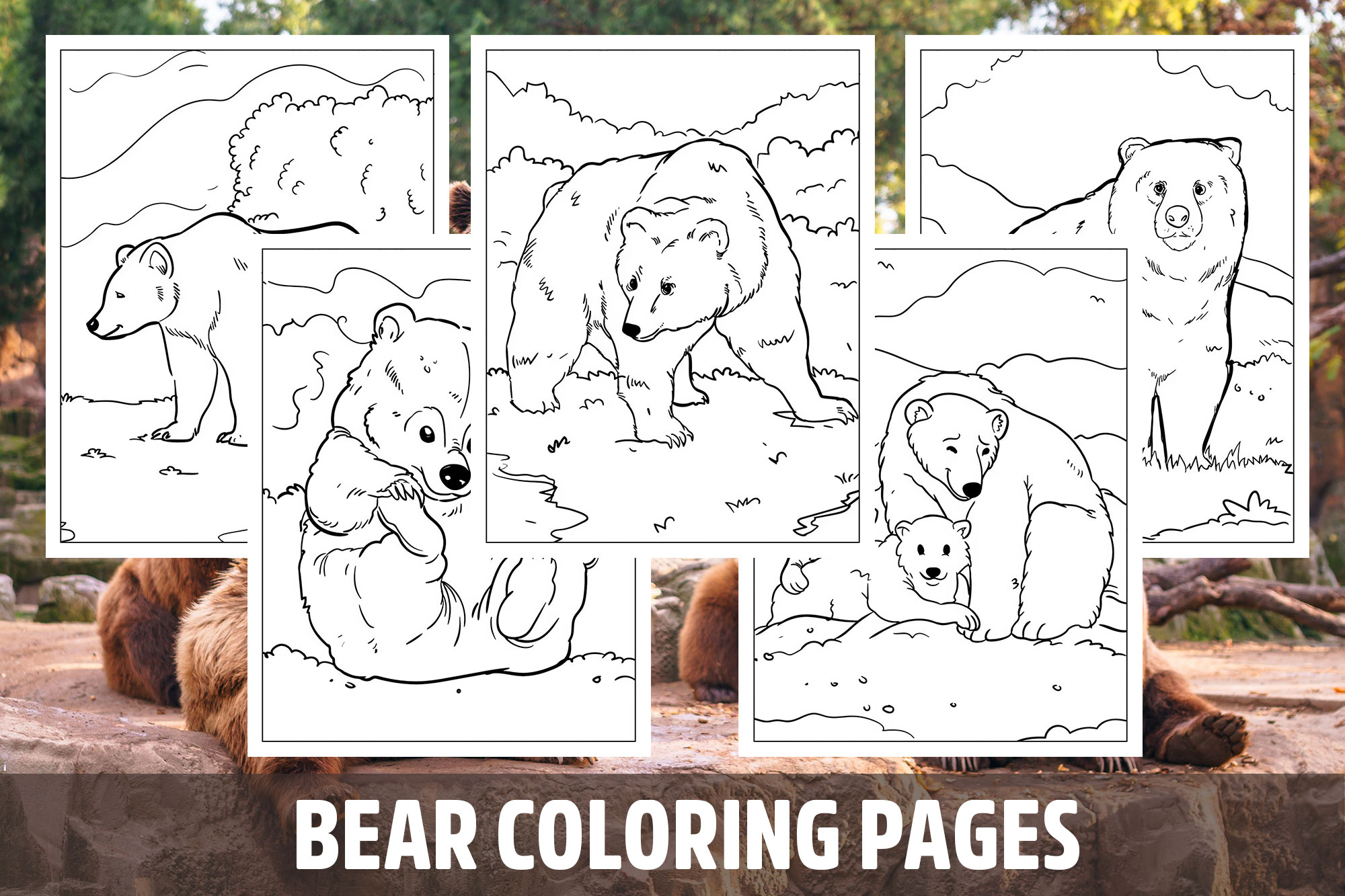 Bear coloring pages for kids girls boys teens birthday school activity made by teachers