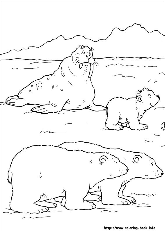 Little polar bear coloring picture