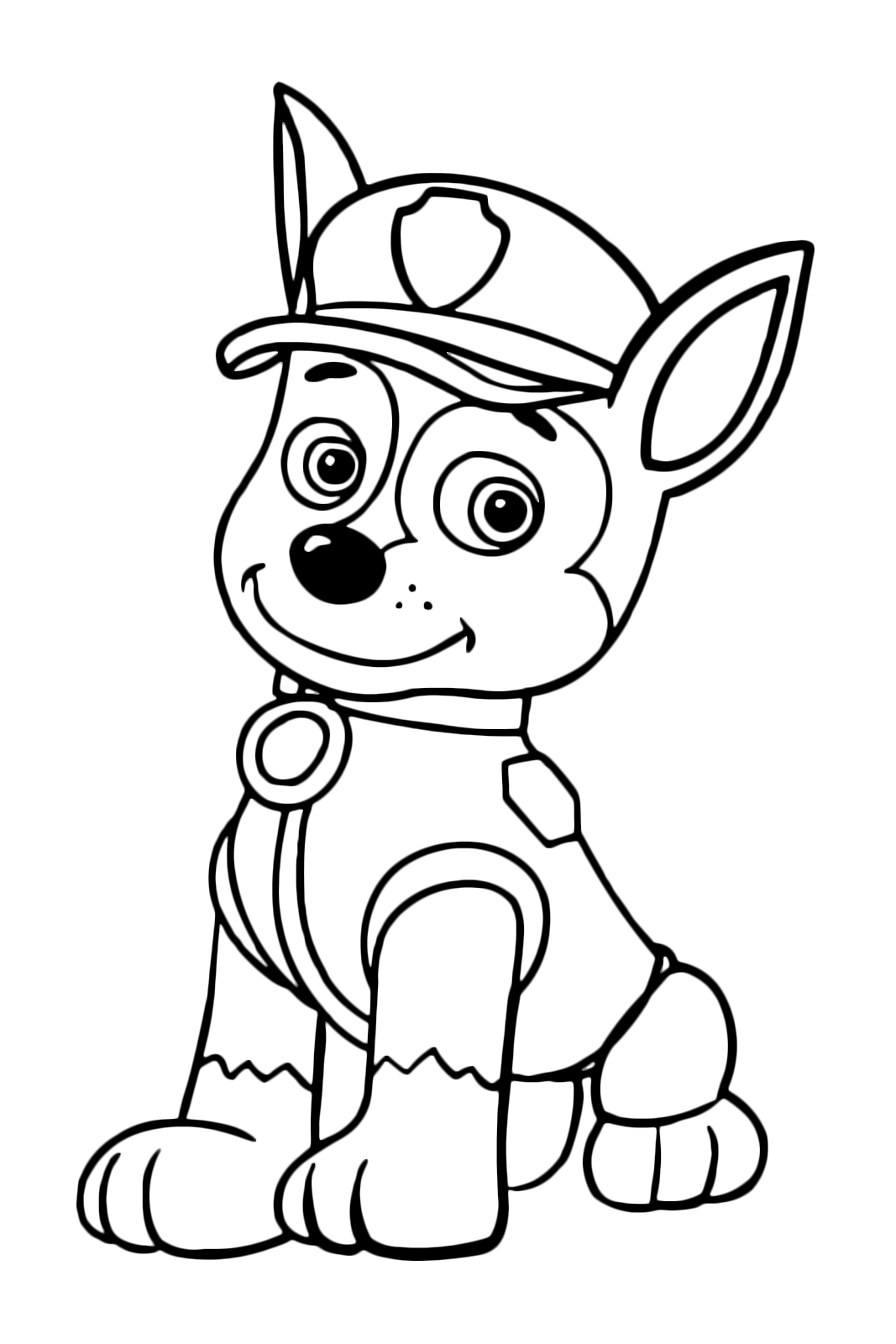 Paw patrol