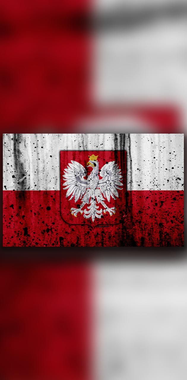 Download Free 100 + polish Wallpapers