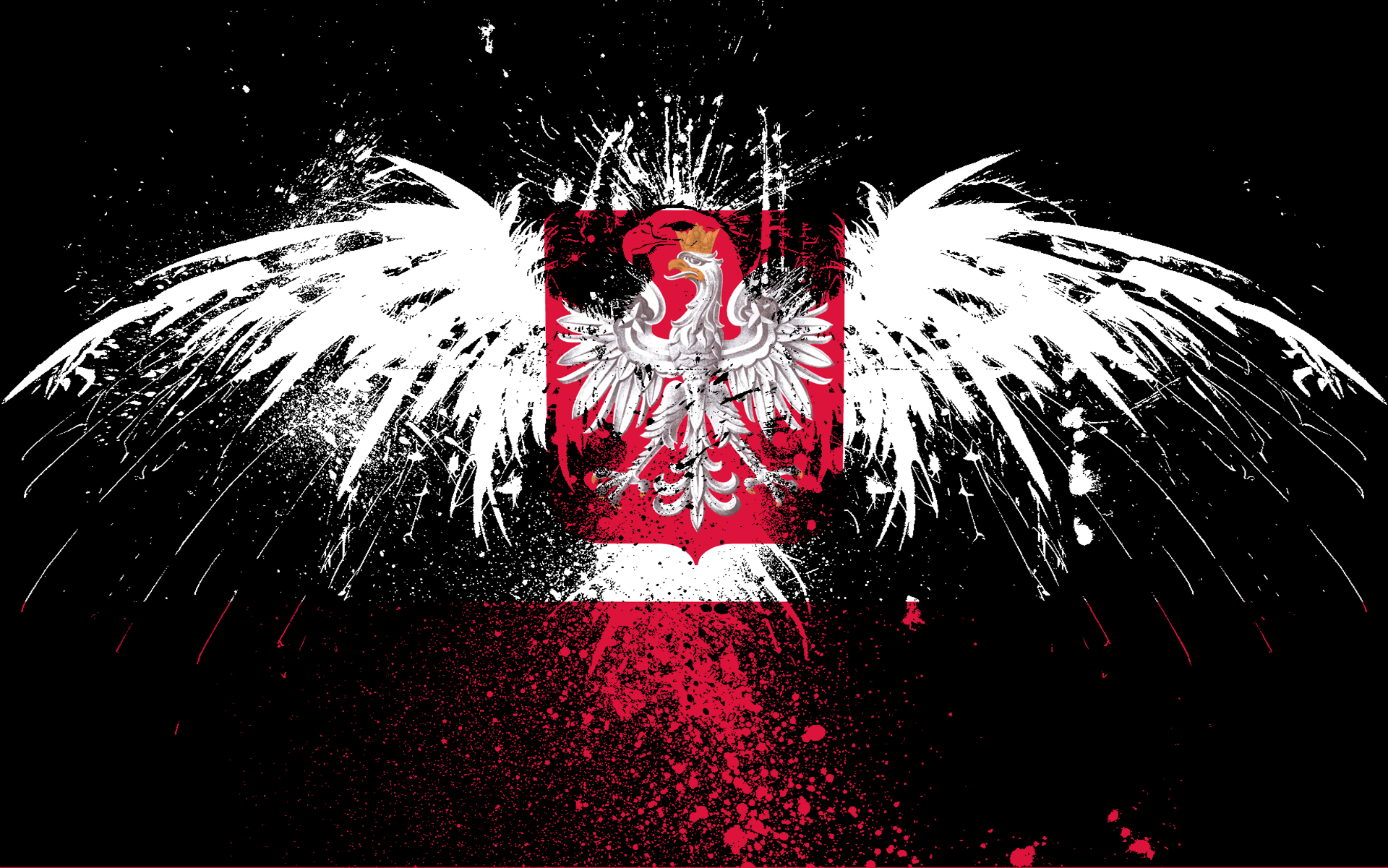 Download Free 100 + polish wallpaper