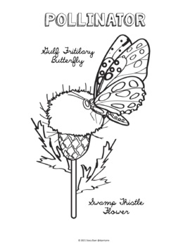 Pollinators and plants coloring pages by dyertyme tpt