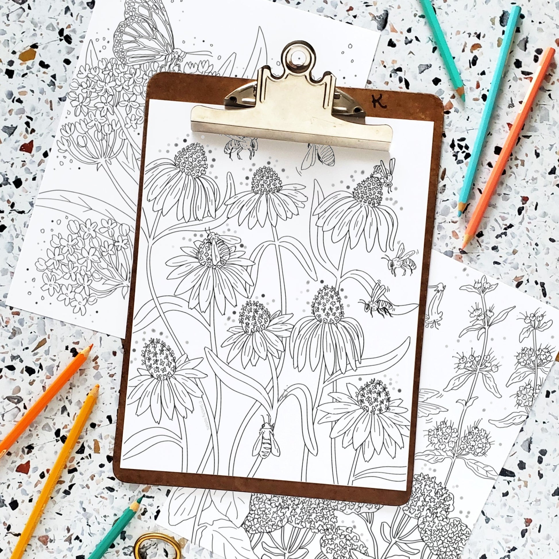 Pollinator plants critters coloring page printable download â sketchy notions