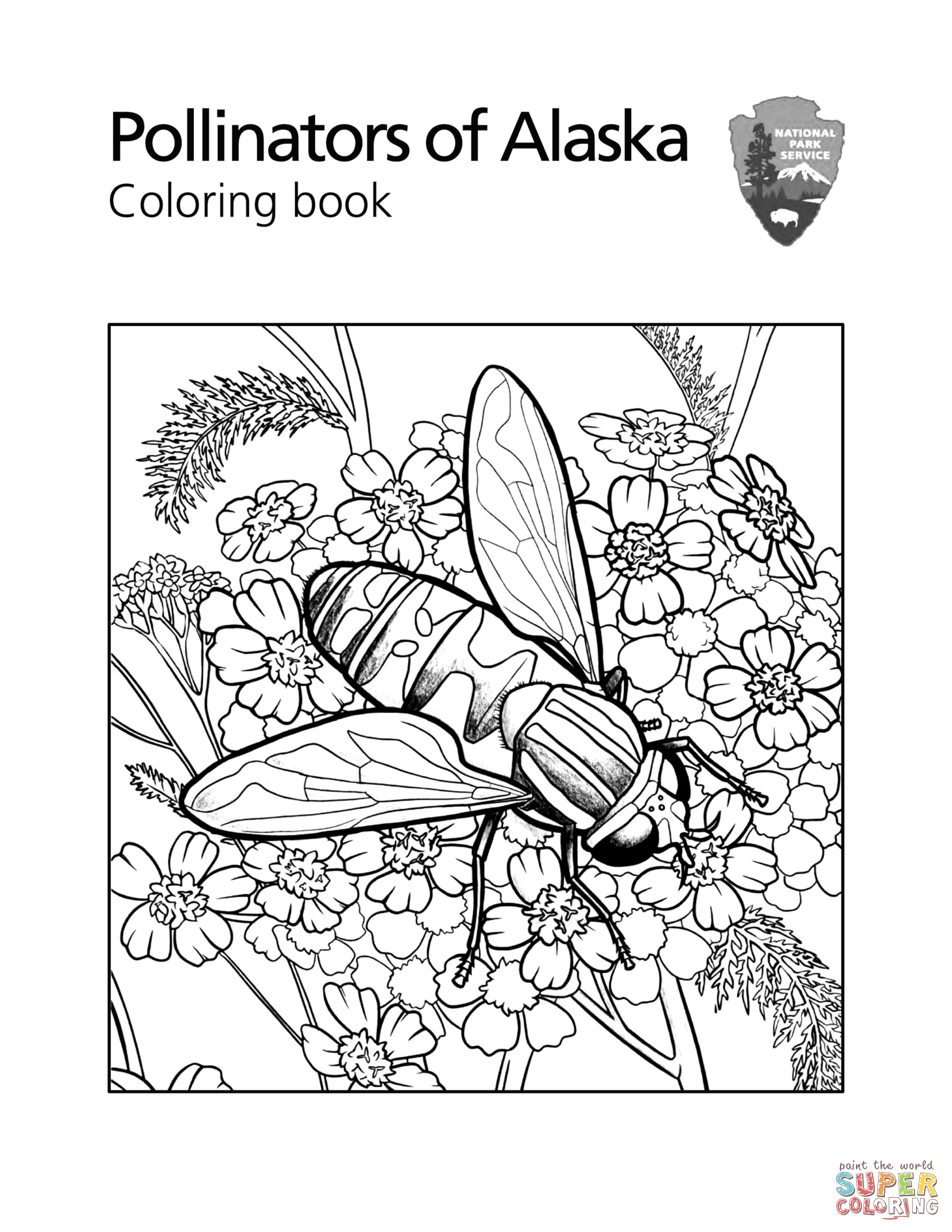 Pollinators of alaska coloring page free printable coloring pages