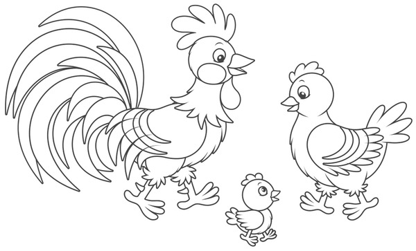 Imãgenes fotos de stock objetos en d y vectores sobre chicken coloring page