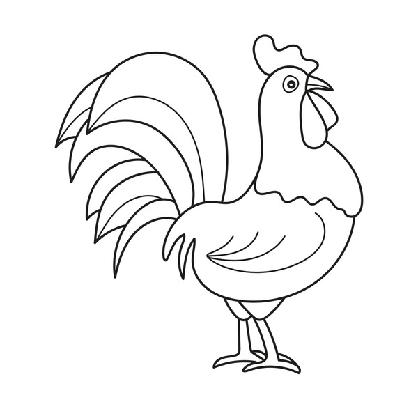 Imãgenes fotos de stock objetos en d y vectores sobre chicken coloring page