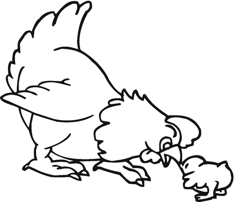 Dibujo de gallina y pollito para colorear dibujos para colorear imprimir gratis