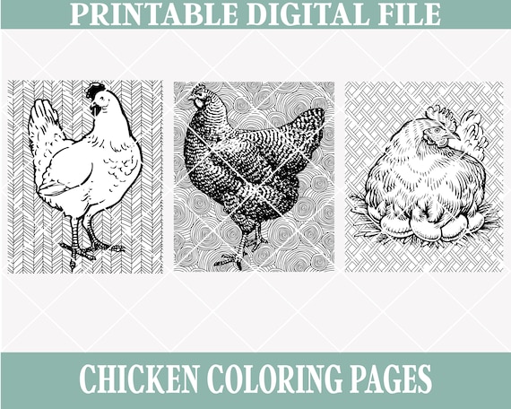 Pãginas para colorear de pollo digitales e imprimibles