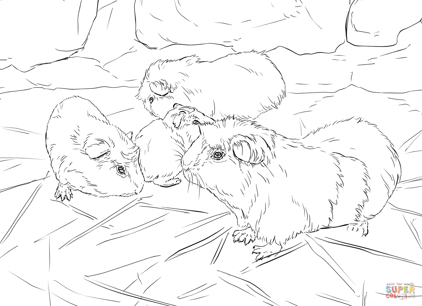 Guinea pigs coloring page free printable coloring pages