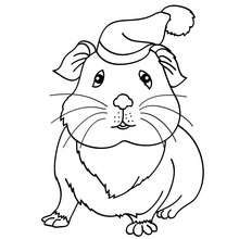 Guinea pig coloring pages