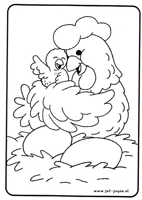 Gallina con pollito coloring pages animal coloring pages coloring books