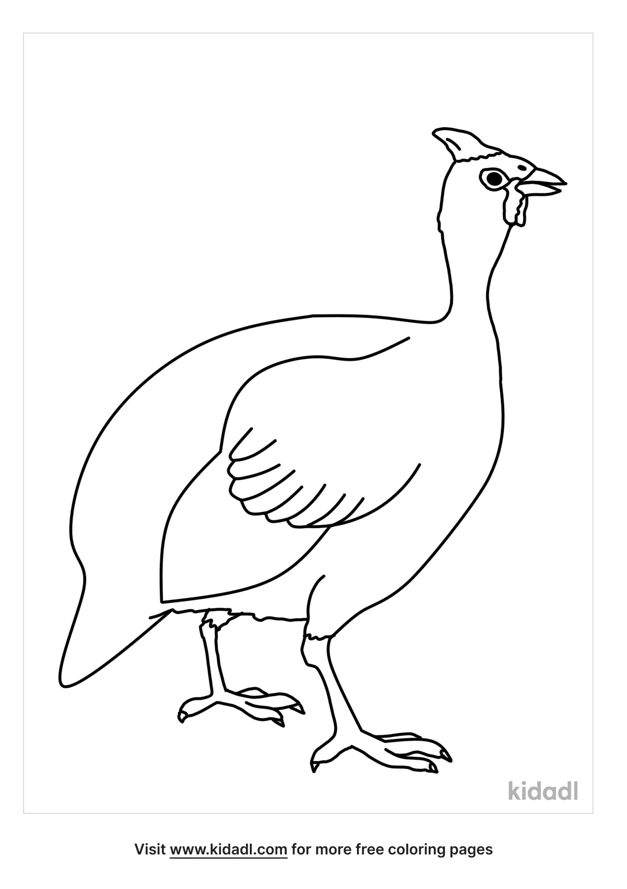 Free guinea hens coloring page coloring page printables