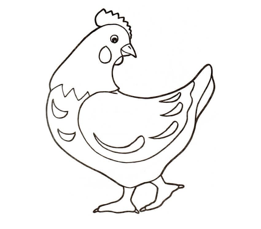 Chicken coloring pages