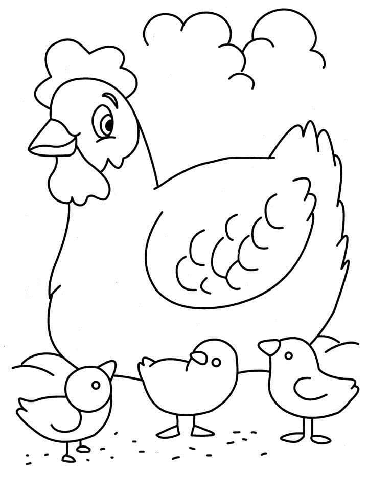 Chicken coloring pages