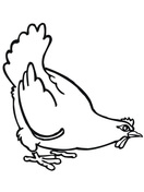 Guinea fowl coloring page free printable coloring pages