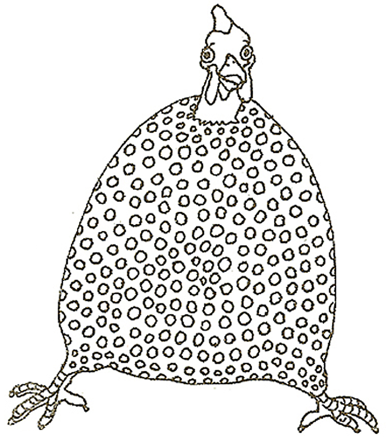 Honeyhoneylion guinea fowl coloring page