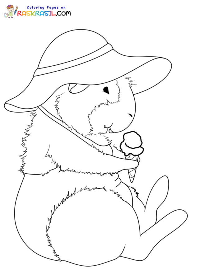 Guinea pig coloring pages