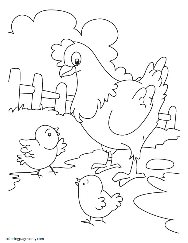 Chicken coloring pages