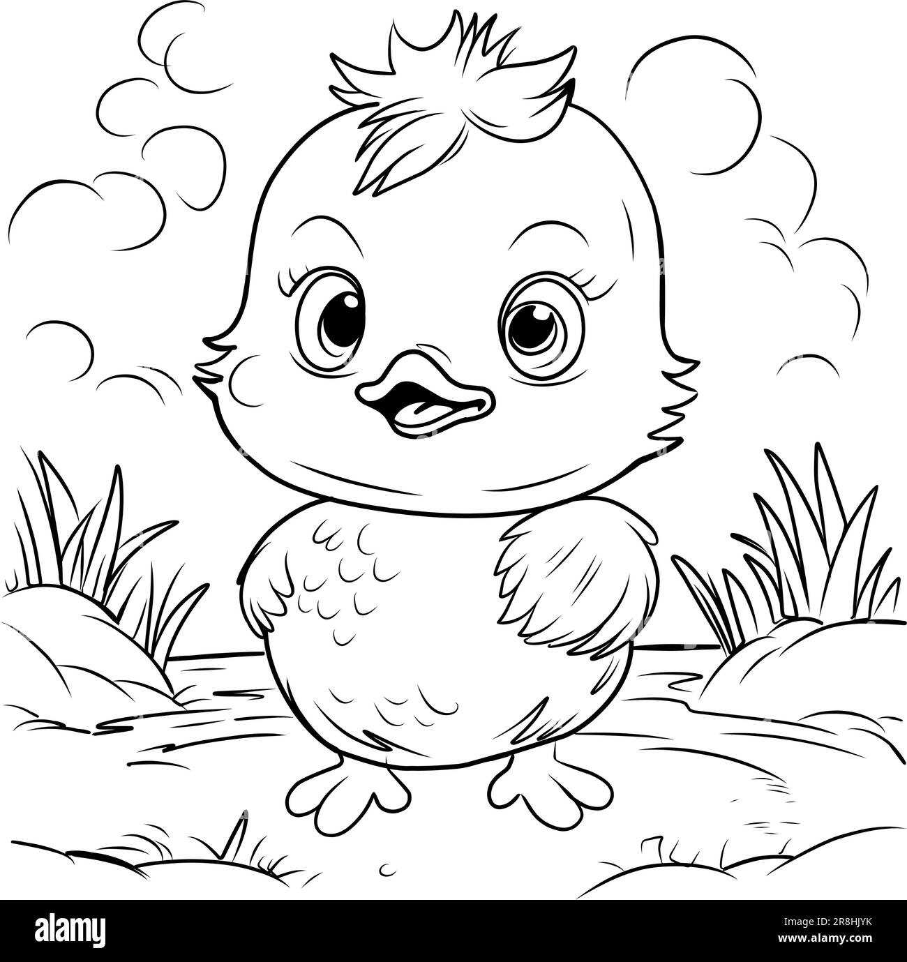 Vector illustration little chicken cartoon black and white stock photos images