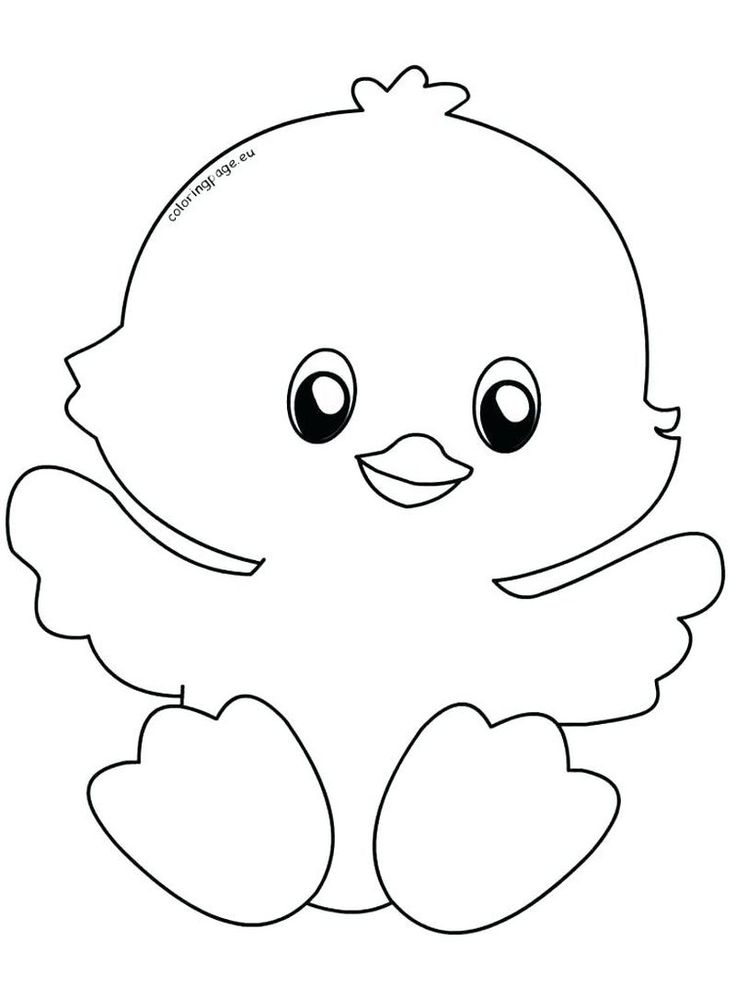 Cute chicken coloring pages pdf for children