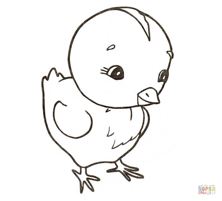 Dibujo de pollito para colorear dibujos para colorear imprimir gratis