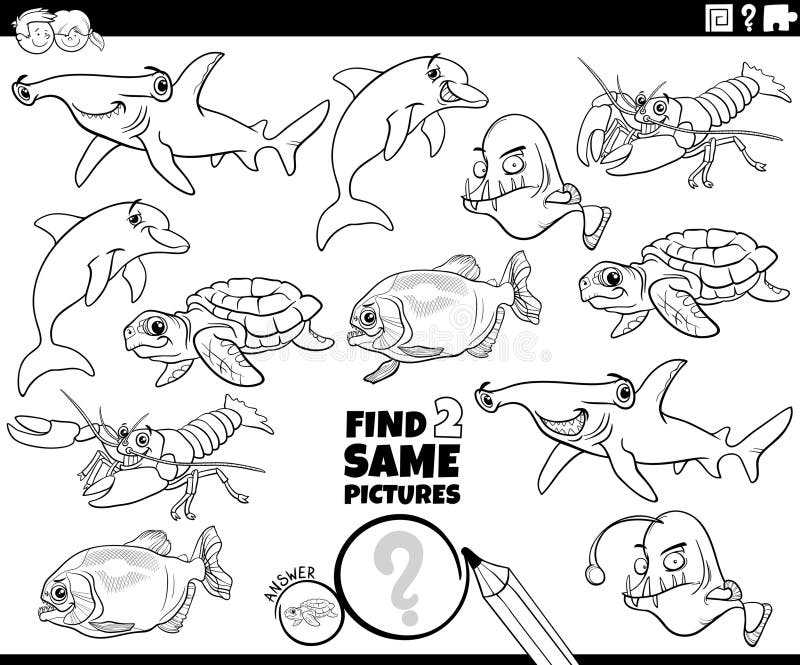 Piranha coloring page stock illustrations â piranha coloring page stock illustrations vectors clipart